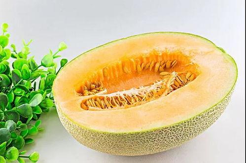 今日养生吃瓜,探索今日养生吃瓜之道