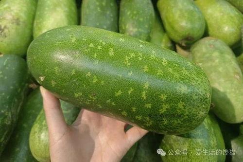 毛瓜价格今日行情最新,今日行情解析与趋势预测”