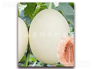 山瓜甜瓜今日价格表,今日市场行情速览