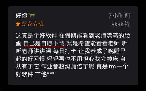明星网红歌评价怎么写,明星与网红的跨界评价解析