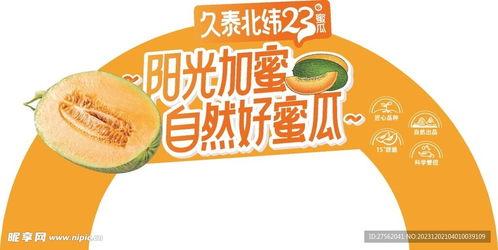 哈密瓜图片今日头条,哈密瓜图片惊艳亮相，带你领略瓜果之美