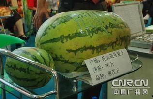 乌市今日大瓜,揭秘惊人内幕，引发社会热议