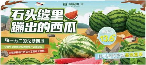 51今日吃瓜热门大瓜,揭秘热门大瓜背后的惊人真相