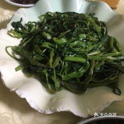 鸡瓜黄连今日价格行情,今日行情一览”