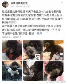 明星网红偷狗贼视频,明星网红涉嫌参与，网友热议道德沦丧