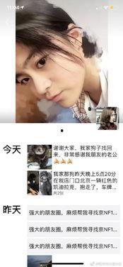 明星网红偷狗贼视频,明星网红涉嫌参与，网友热议道德沦丧
