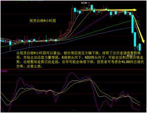 瓠瓜今日行情走势分析图,今日走势深度剖析
