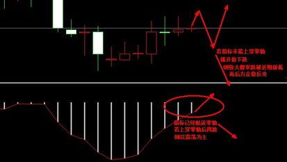 瓠瓜今日行情走势分析图,今日走势深度剖析