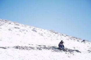 崇礼滑雪场明星网红,明星网红打卡胜地，冰雪奇缘之旅