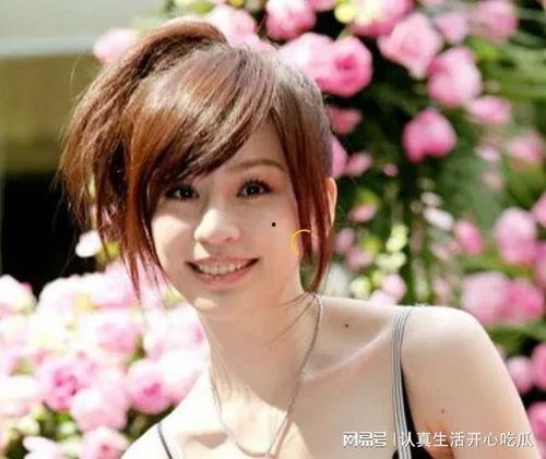 瓜姐今日爆料新闻直播,最新爆料事件深度解析