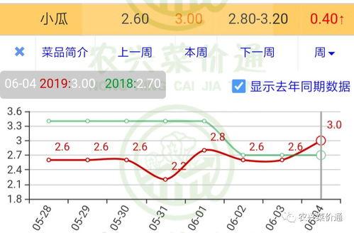 今日小瓜走势图表最新,今日行情一览，洞察市场动态
