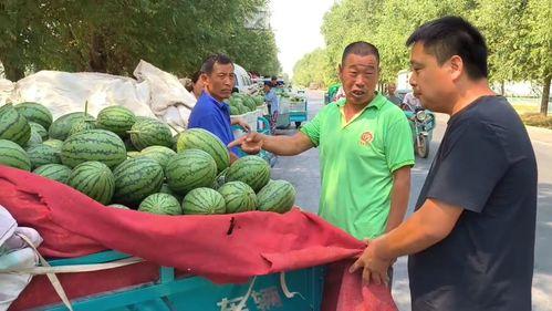 韩寺吊瓜价格今日报价,今日韩寺吊瓜价格行情分析