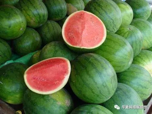 今日红瓜最新价格表,今日最新行情一览