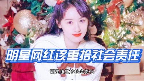 明星网红综艺歌词是什么,明星网红热歌盘点