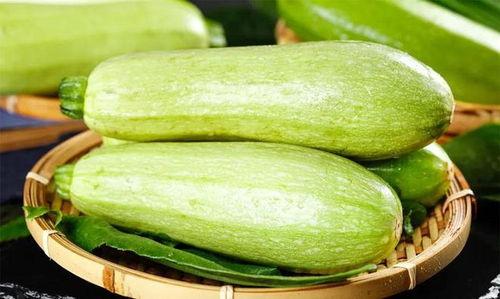 今日份热瓜江苏能种吗