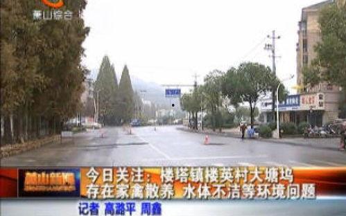 瓜园今日新闻最新,揭秘瓜农致富新路径，科技赋能助力乡村振兴