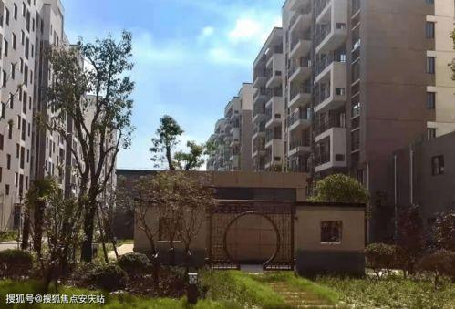 今日小吊瓜行情走势最新,今日走势解析，涨跌背后的市场动向