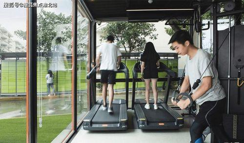 今日小吊瓜行情走势最新,今日走势解析，涨跌背后的市场动向