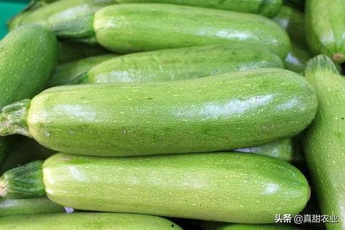 今日小吊瓜行情走势最新,今日走势解析，涨跌背后的市场动向