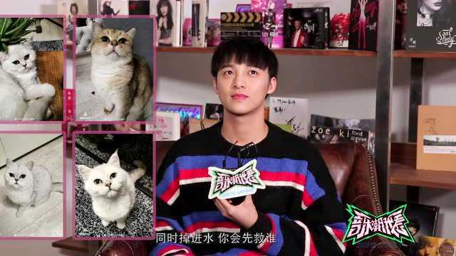 明星网红养狗视频大全,萌犬视频大盘点