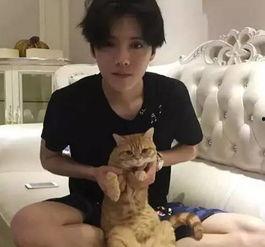 临漳明星网红乖乖是谁,揭秘明星网红背后的故事