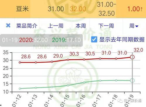 今日通海小瓜价格走势,今日市场行情实时解析