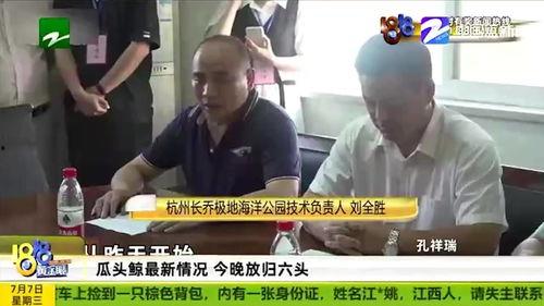 瓜头今日新闻,揭秘瓜头今日热点事件背后的真相
