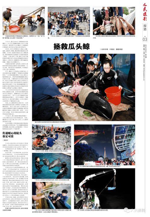 瓜头今日新闻,揭秘瓜头今日热点事件背后的真相