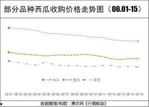 新疆今日瓜价行情走势,今日瓜价行情稳中向好