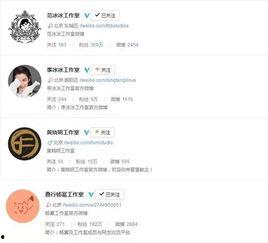 明星网红与资本运作,跨界融合的财富密码