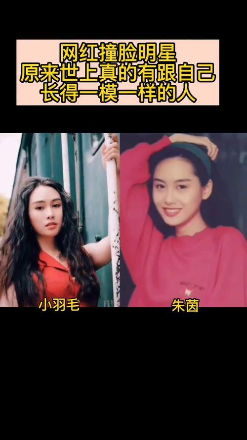 各种明星网红撞脸视频,奇妙的容貌巧合盘点