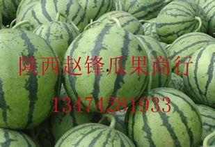 嘉兴哈密瓜价格今日价,价格行情一览