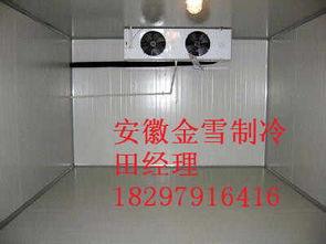通海冷库今日小瓜价格表,行情波动，品质优价并存