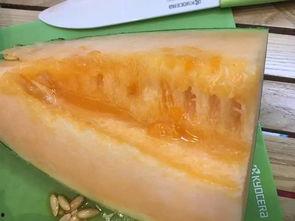今日吃瓜柳州,街头巷尾尽是欢乐时光