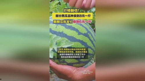 麒麟瓜今日价格行情,涨跌波动，市场动态一览