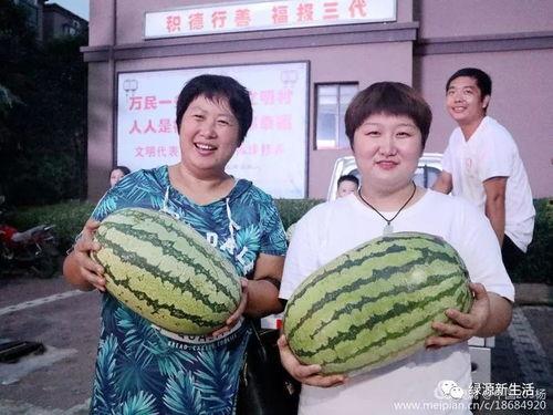 今日吃瓜汇总完整,娱乐圈热点事件一网打尽