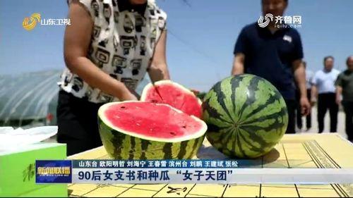二茬瓜今日行情,今日动态解析