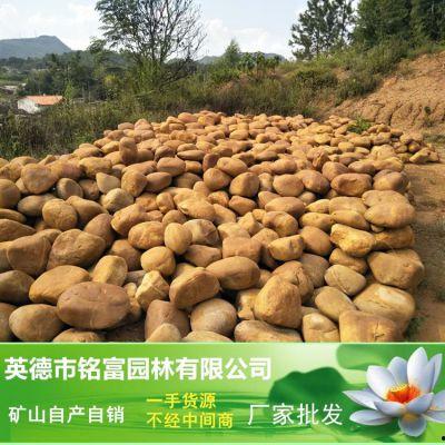 广东石头瓜今日行情如何,今日价格走势分析”
