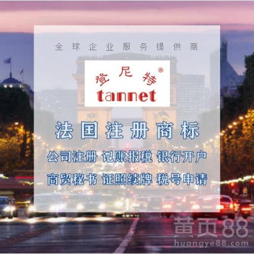 深圳河粉明星网红店,一粉倾城，品味非凡的美食传奇”