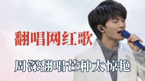 明星网红唱歌文案高级版,揭秘网红明星的动感旋律与魅力演绎