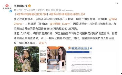 为什么明星网红逃税了,背后的利益与风险