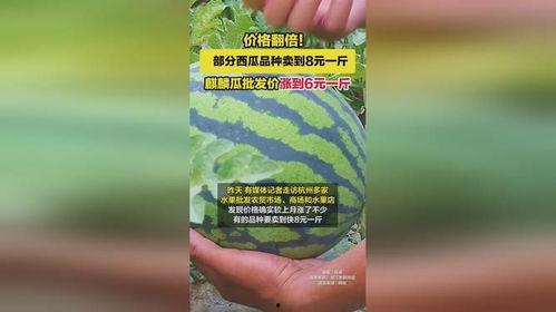 两湖今日麒麟瓜批发价,价格波动与市场动态一览”