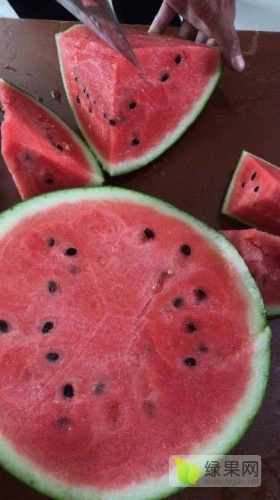 砀山小白瓜今日 价格,品质瓜果，实惠之选！