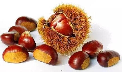 板栗蓝瓜黑鸡麻能一起吃,探寻美味与健康的完美融合