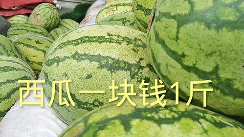 今日登封卖瓜多少钱一斤,瓜价几何，新鲜上市