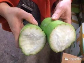 葫芦瓜今日的价格桂林,市场行情一览”