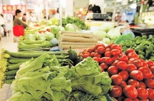 湛江水瓜今日行情价格,价格波动，市场供需分析