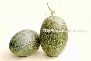 北海哈密瓜今日行情价,品质佳价优，市场反响热烈”