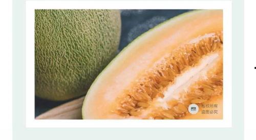 海南蜜瓜今日价格表,新鲜上市，品质优价实惠