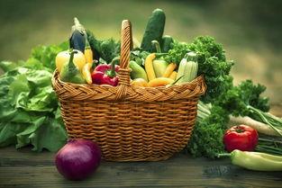 今日韩寺小吊瓜价格,实惠与品质并存